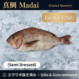 New Arrival: Fresh Air-Flown Japanese Madai / Red Sea Bream ~2kg - Islandwide Delivery