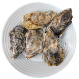 Japanese Iwate/Miyagi Oysters ~110g (Sashimi-Grade Oysters from Iwate/Miyagi Prefecture) カキ (PROMO)