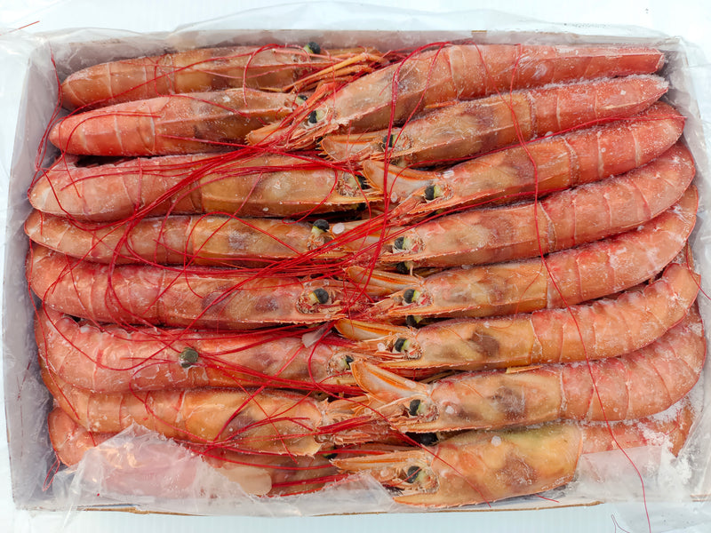 Aka Ebi (Argentine Red Shrimp) 2KG 赤海老の握り