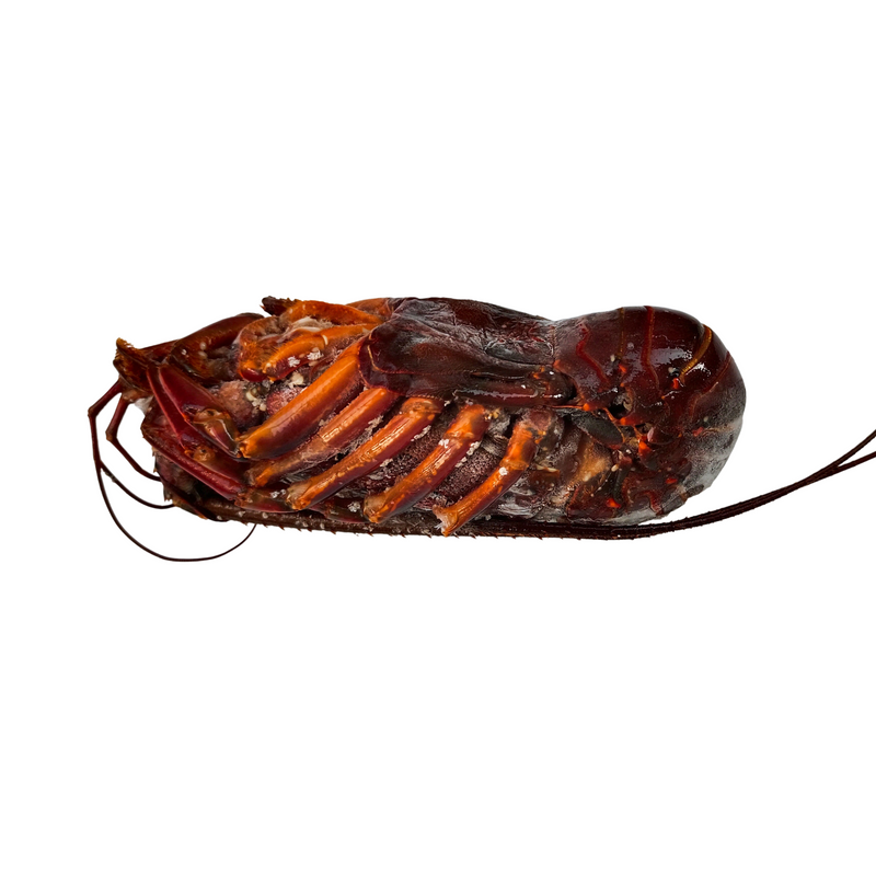 Ise Ebi (Spiny Lobster) 600-800g