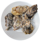 Japanese Hyogo/Iwate Oysters ~90g (Sashimi-Grade Oysters from Iwate Prefecture) カキ (PROMO)