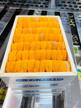 Bafun Narabi Uni (250g) お任せ並びウニ Grade AA (MAX 5 DAYS DELIVERY WINDOW UPON ORDER)